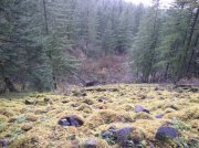 11.27.05 Nesmith Point 022 